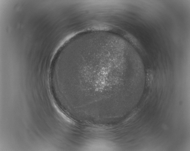 X0000078020726200611171912