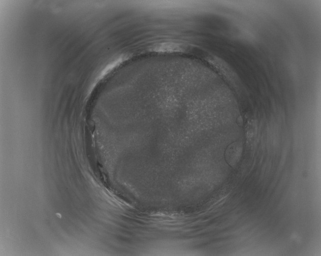 X0000078020727200611171912