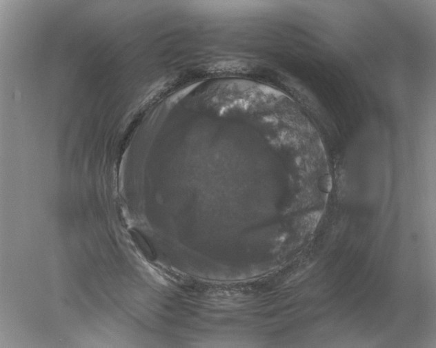 X0000078020729200611171912