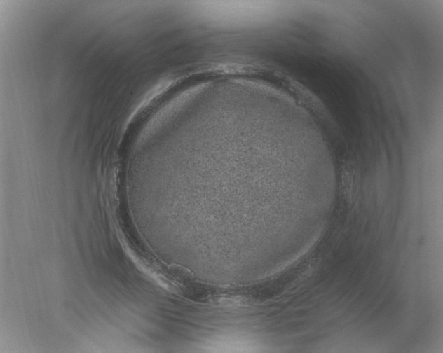 X0000078020730200611171912