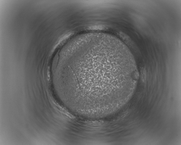 X0000078020731200611171912