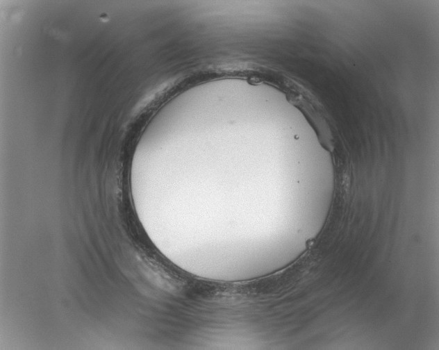 X0000078020732200611171912