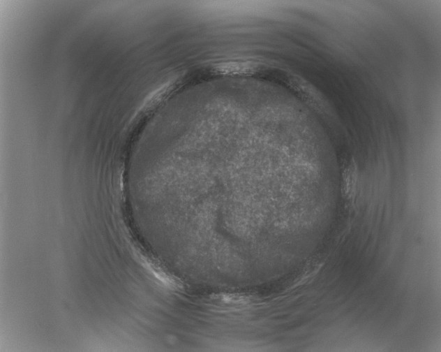 X0000078020733200611171912