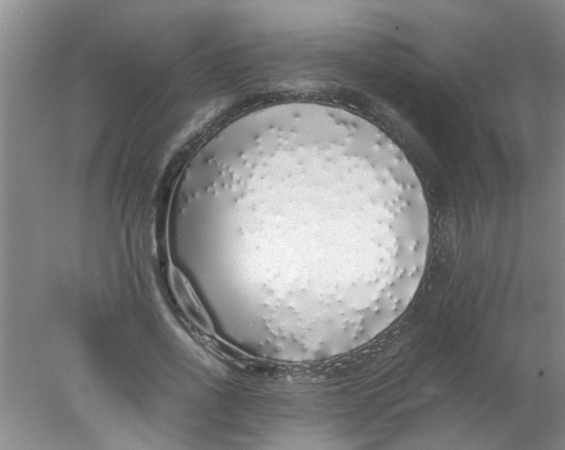 X0000078020734200611171912