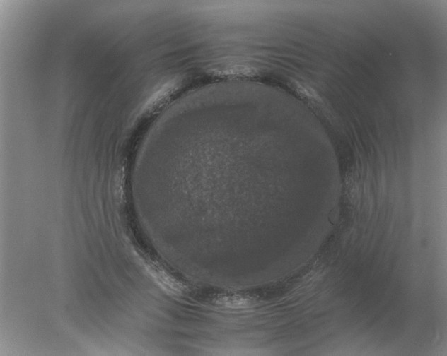 X0000078020735200611171912