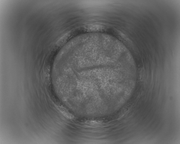 X0000078020737200611171912