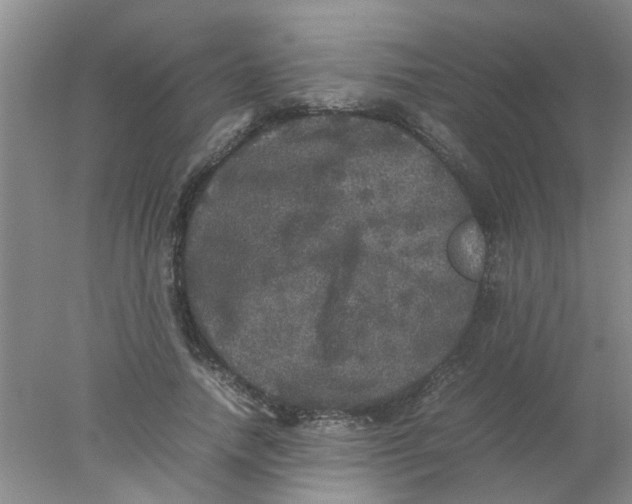 X0000078020738200611171912