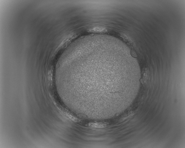 X0000078020739200611171912