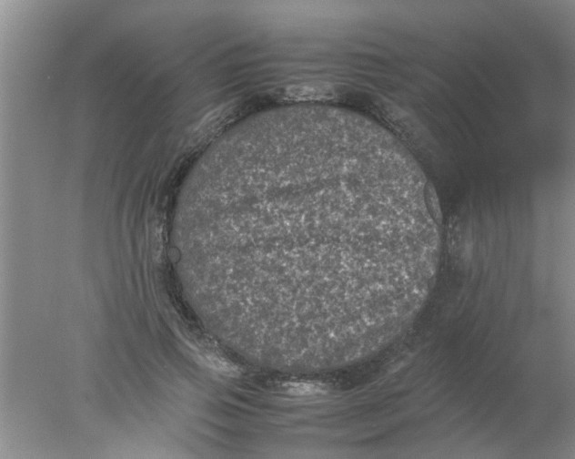 X0000078020741200611171912