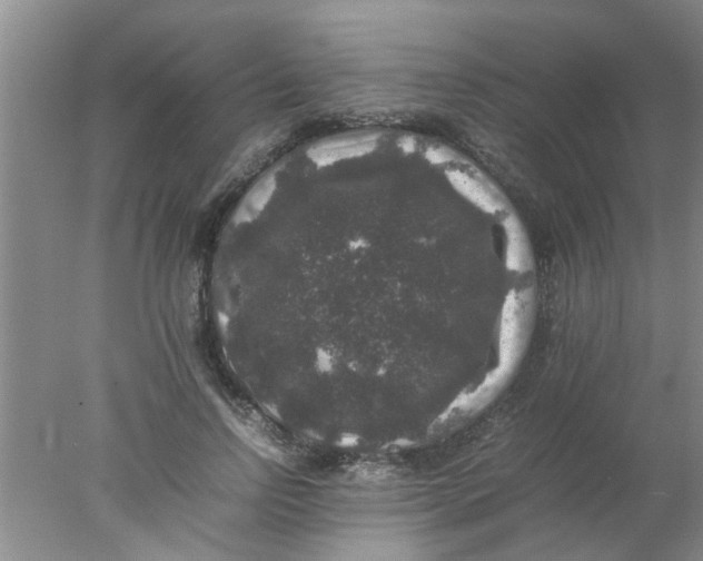 X0000078020742200611171912