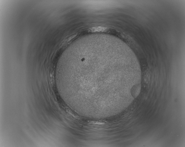 X0000078020743200611171912