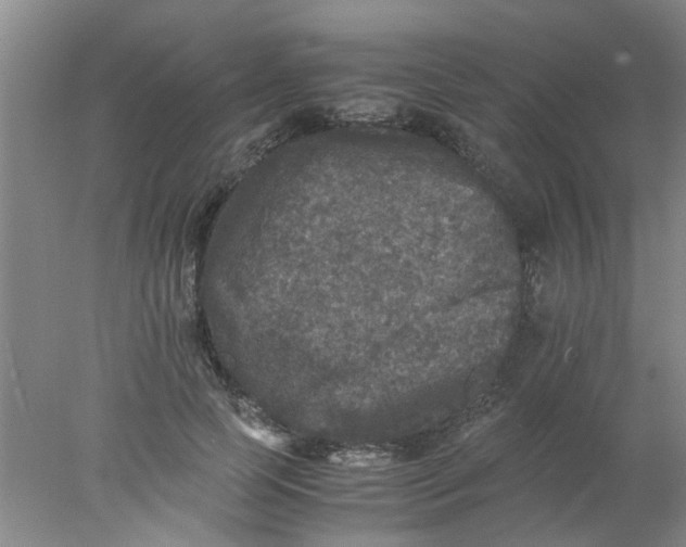 X0000078020745200611171912