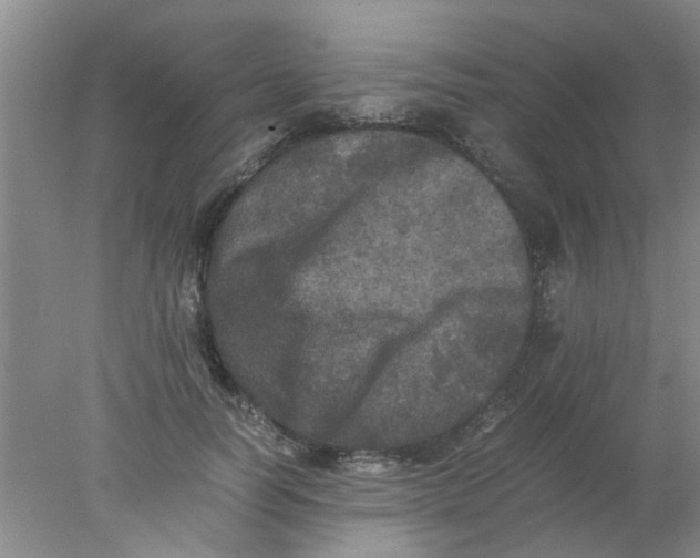 X0000078020746200611171912