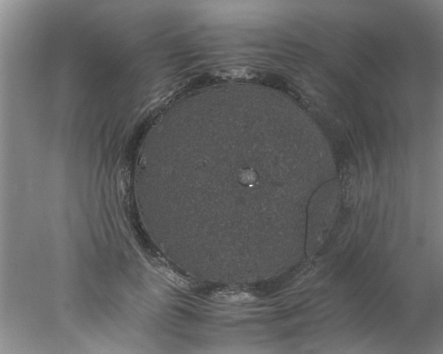 X0000078020747200611171912