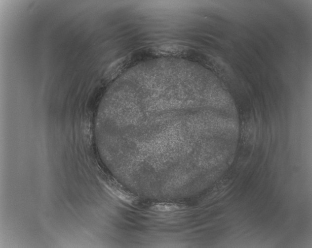 X0000078020749200611171912