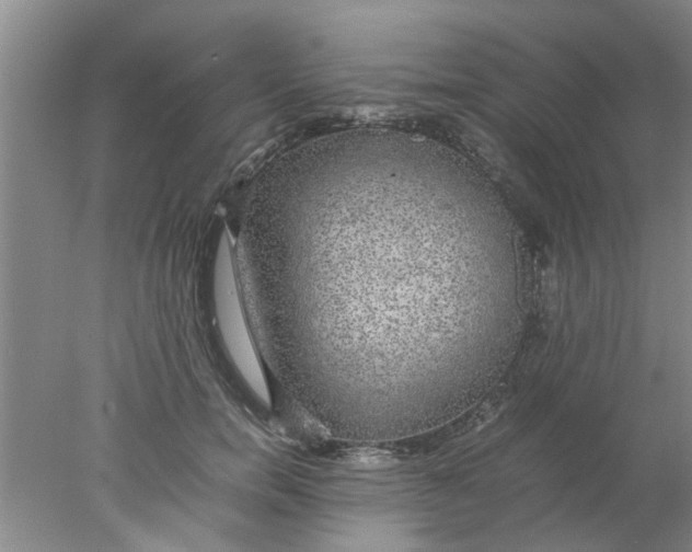 X0000078020750200611171912