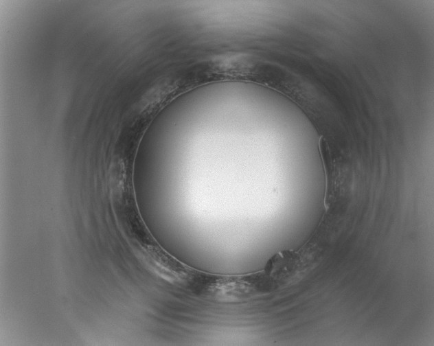 X0000078020752200611171912