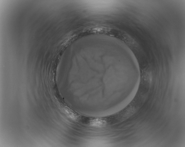 X0000078020754200611171912