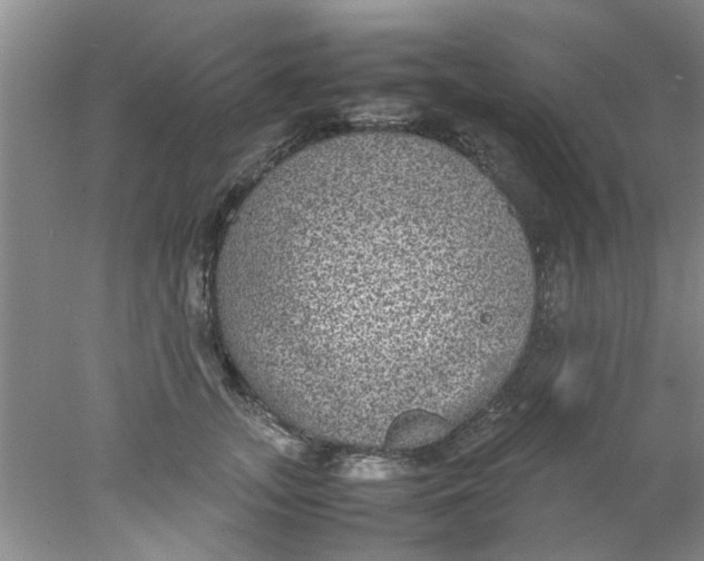 X0000078020755200611171912