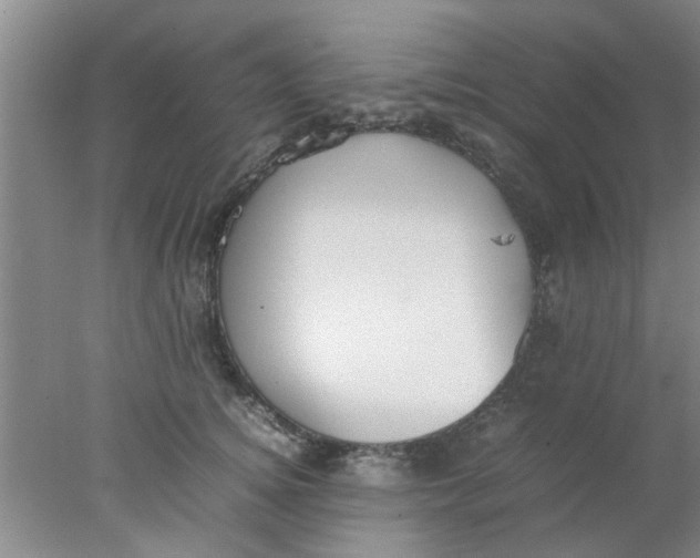 X0000078020756200611171912