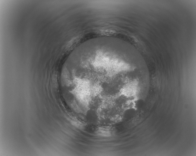 X0000078020757200611171912