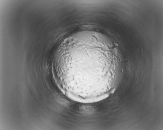 X0000078020759200611171913