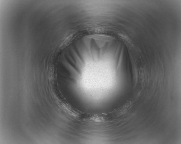 X0000078020760200611171913