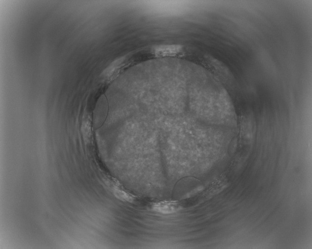 X0000078020761200611171913