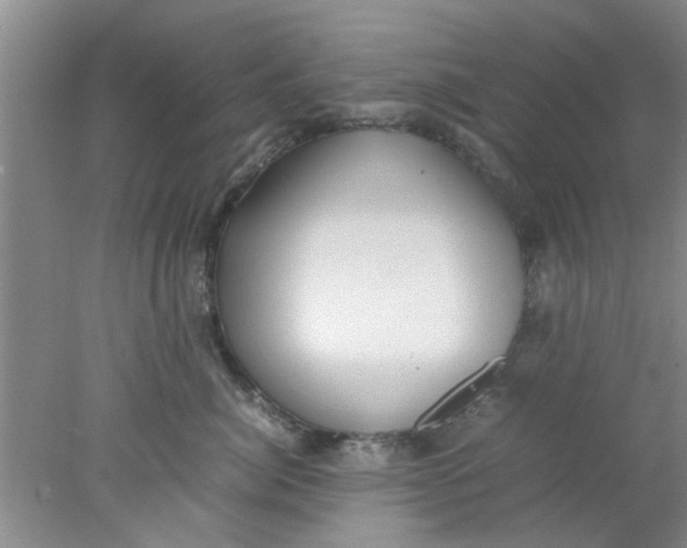 X0000078020764200611171913