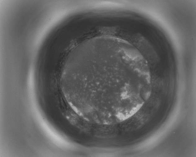 X0000078020765200611171913