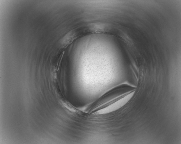 X0000078020766200611171913