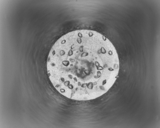 X0000078020769200611171912