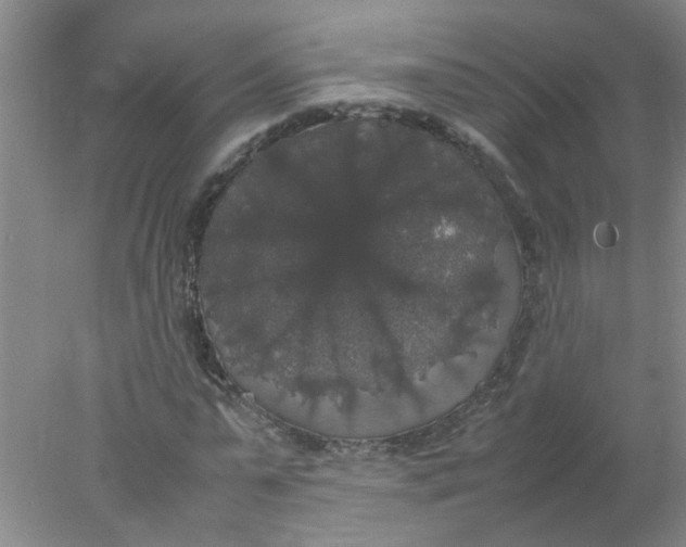 X0000078020775200611171912