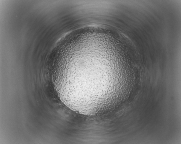 X0000078020776200611171912