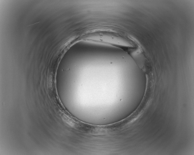 X0000078020777200611171912