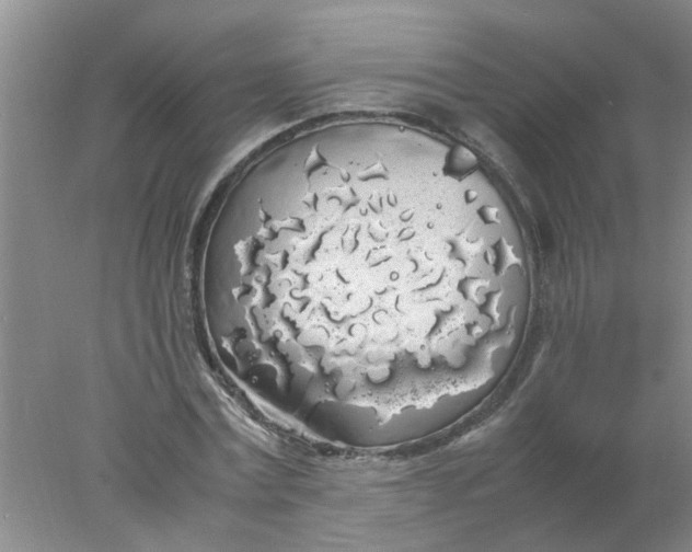 X0000078020779200611171912