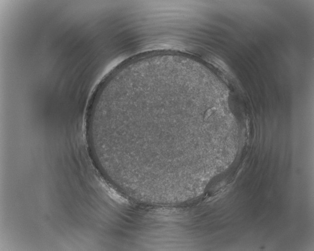 X0000078020780200611171912