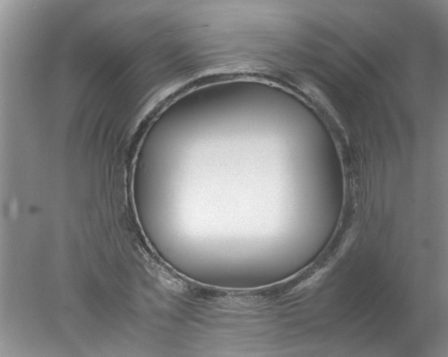 X0000078020781200611171912