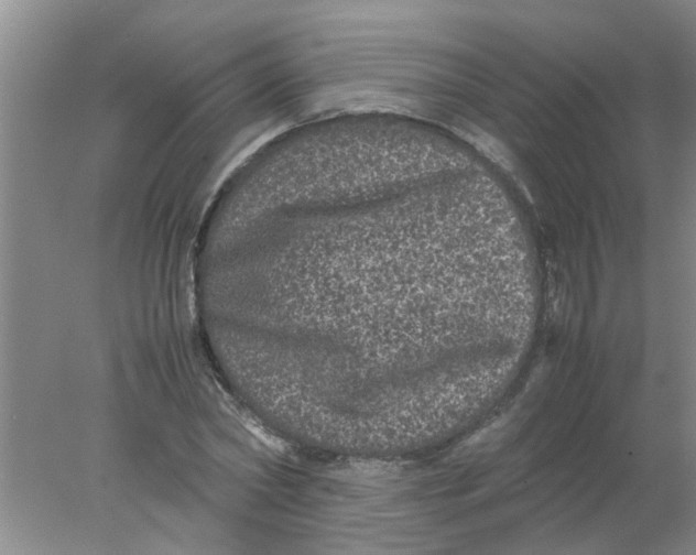 X0000078020782200611171912