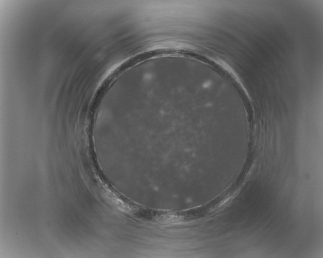 X0000078020783200611171912