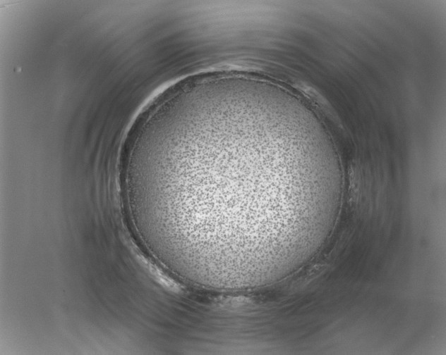 X0000078020784200611171912