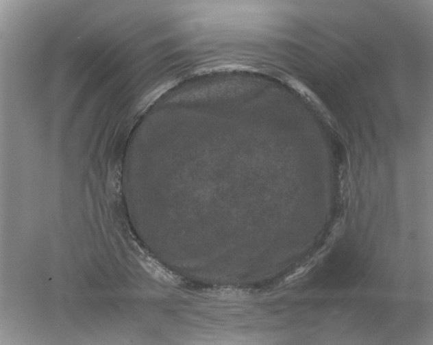 X0000078020785200611171912