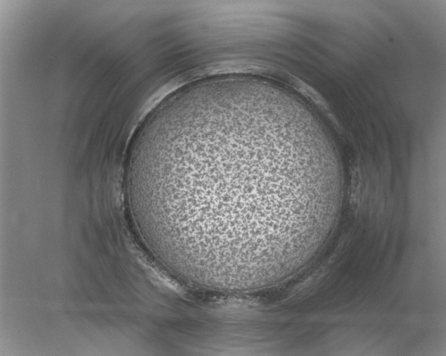 X0000078020786200611171912