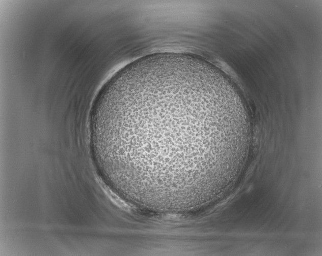 X0000078020787200611171912