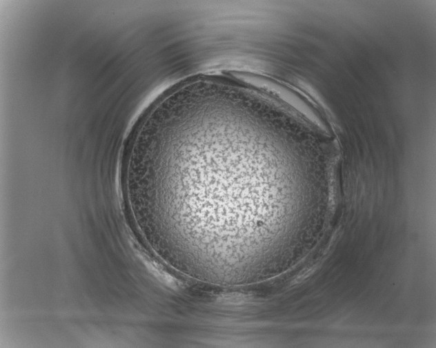 X0000078020788200611171912