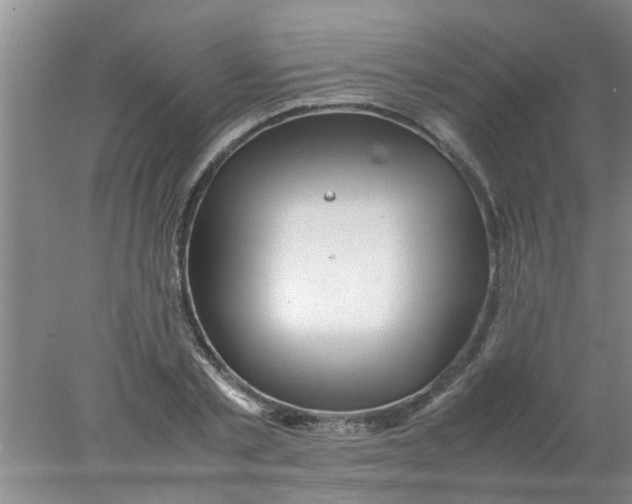 X0000078020789200611171912