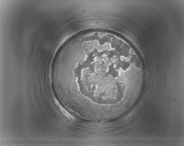 X0000078020791200611171911