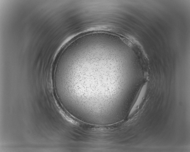 X0000078020792200611171911