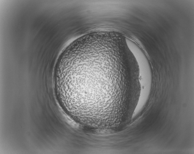 X0000078020795200611171911