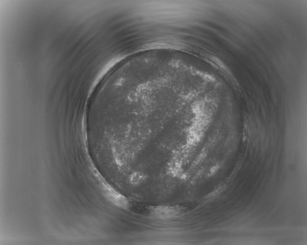 X0000078020796200611171911